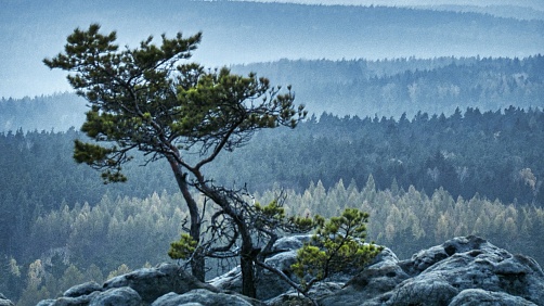Honza Pilař - Mystická krajina Českého Švýcarska