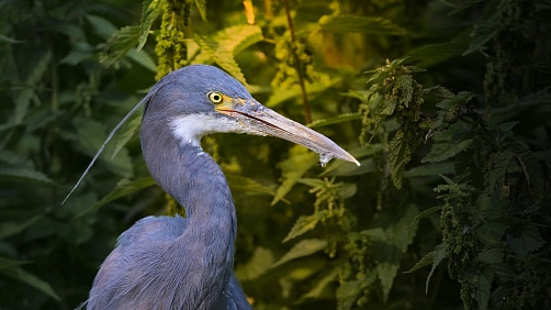 Jiří Munclinger - Začínáme fotografovat v zoo