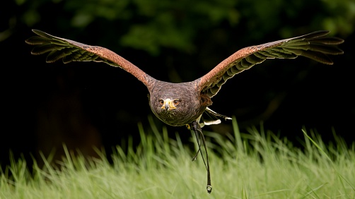 Daniel Franěk - Fotokemp pro dospělé: Spojení učení a zábavy pro nadšence