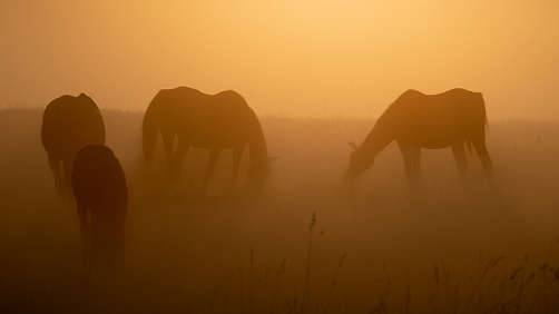 Daniel Franěk - Fotokemp pro dospělé: Spojení učení a zábavy pro nadšence