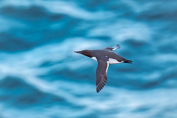 Jarní fotografický kurz ve Skotsku (Isle of Skye) - foto