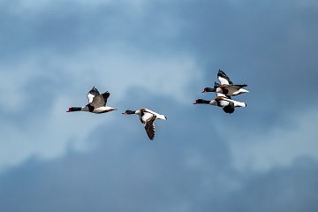 Jarní fotografický kurz ve Skotsku (Isle of Skye) - foto