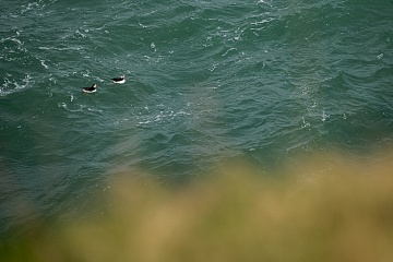 Jarní fotografický kurz ve Skotsku (Isle of Skye) - foto