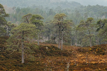 Jarní fotografický kurz ve Skotsku (Isle of Skye) - foto
