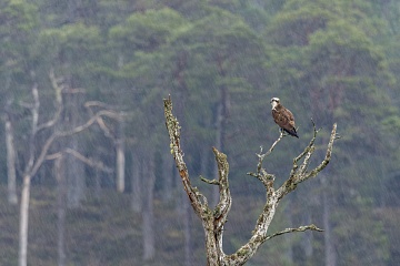 Jarní fotografický kurz ve Skotsku (Isle of Skye) - foto