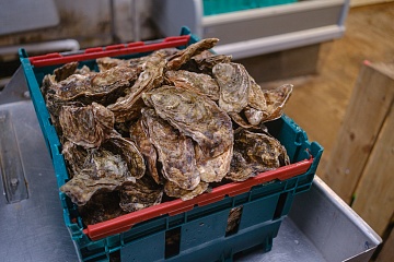 Jarní fotografický kurz ve Skotsku (Isle of Skye) - foto