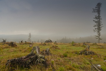 Bavorským lesem s Nikonem - foto